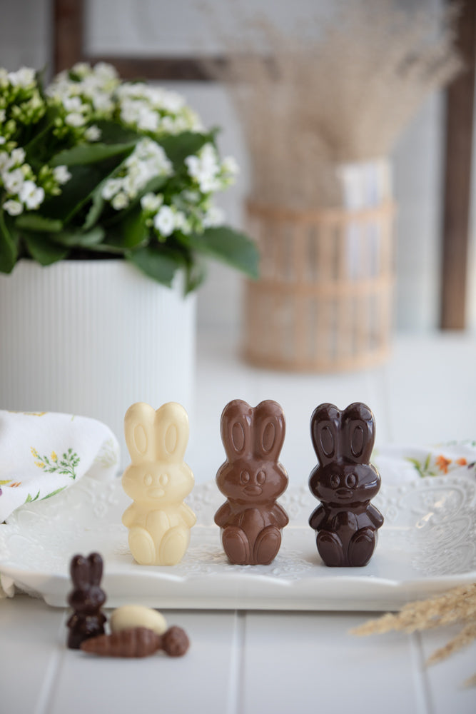 Chocolat - Lapin surprise