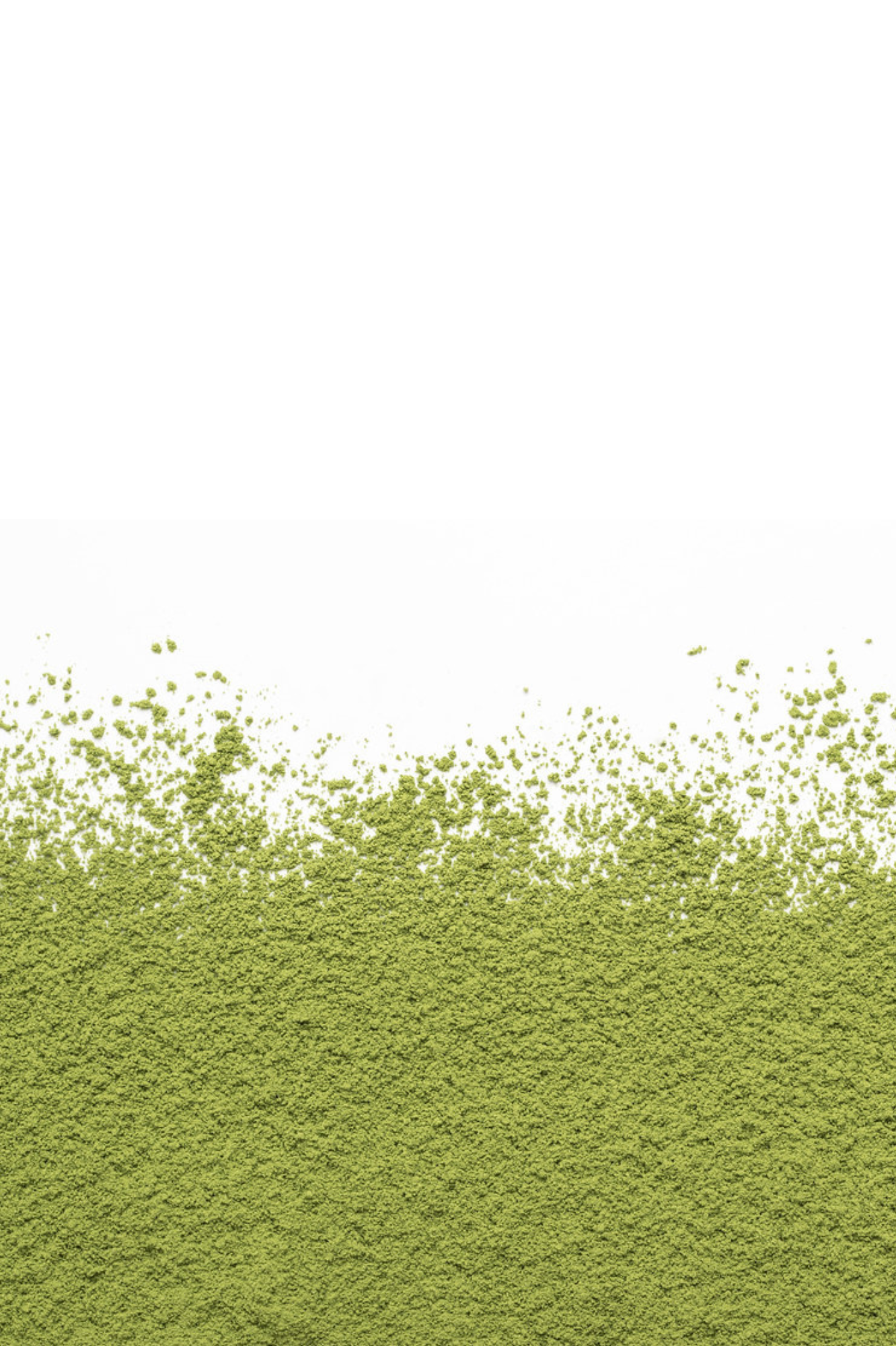 Thé - Matcha Sora - Camellia